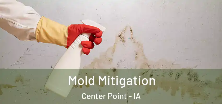 Mold Mitigation Center Point - IA
