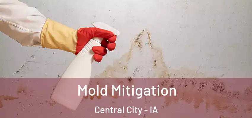 Mold Mitigation Central City - IA