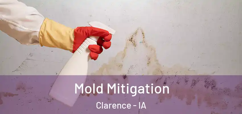  Mold Mitigation Clarence - IA