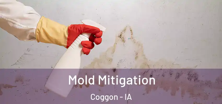  Mold Mitigation Coggon - IA