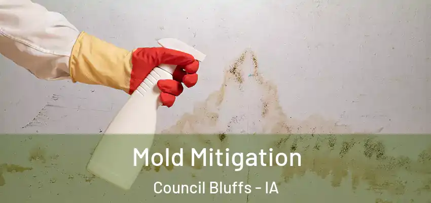 Mold Mitigation Council Bluffs - IA