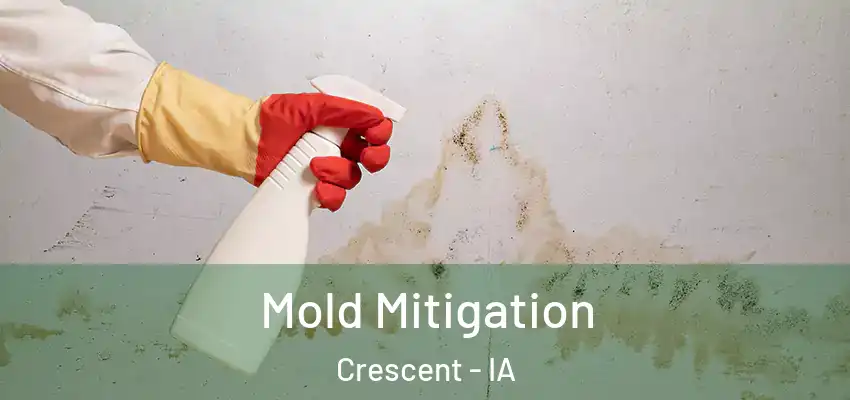 Mold Mitigation Crescent - IA