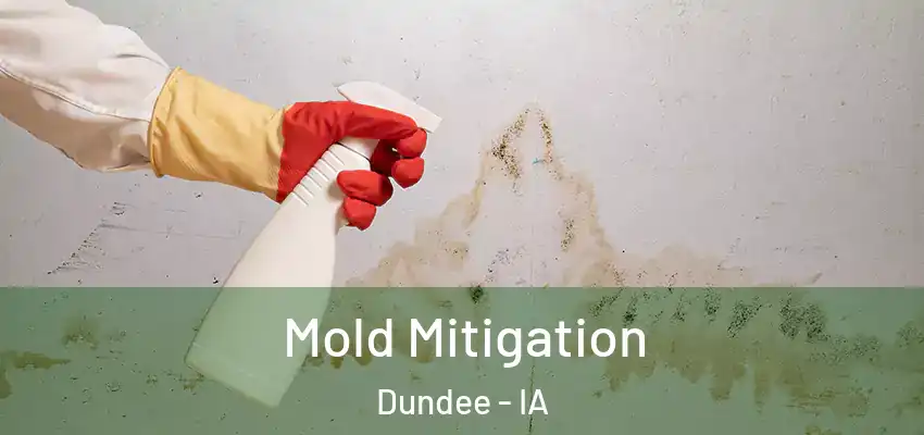  Mold Mitigation Dundee - IA
