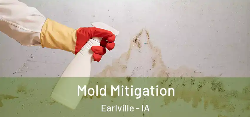 Mold Mitigation Earlville - IA