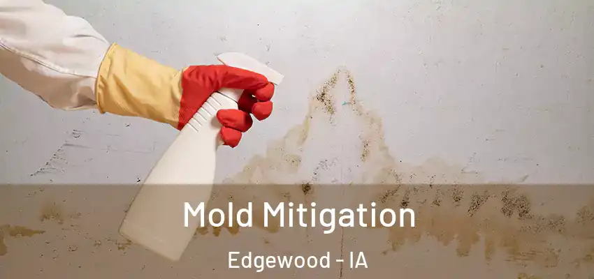  Mold Mitigation Edgewood - IA