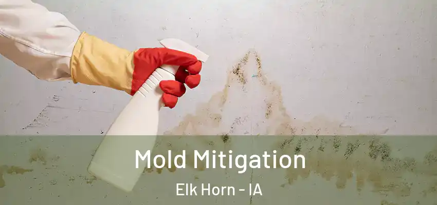  Mold Mitigation Elk Horn - IA