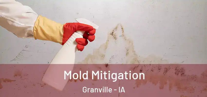 Mold Mitigation Granville - IA