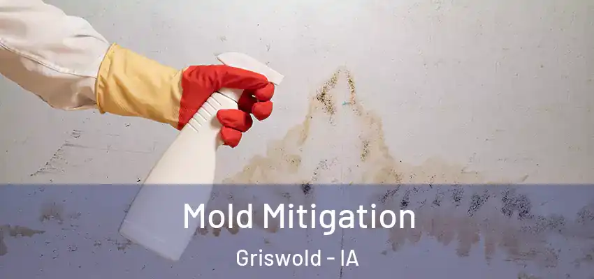 Mold Mitigation Griswold - IA