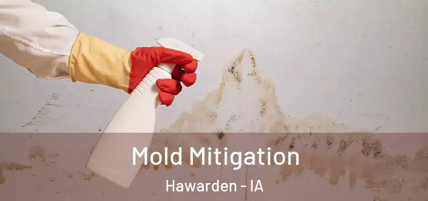 Mold Mitigation Hawarden - IA