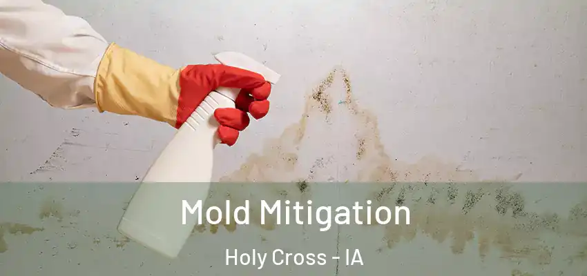 Mold Mitigation Holy Cross - IA