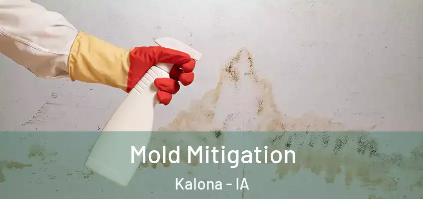 Mold Mitigation Kalona - IA