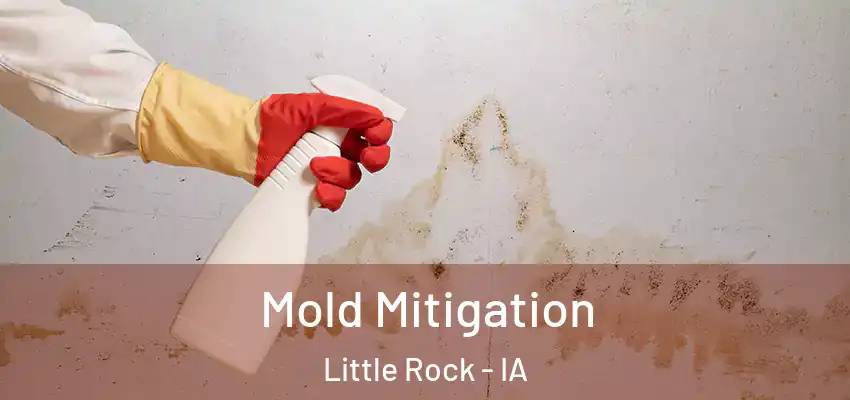  Mold Mitigation Little Rock - IA