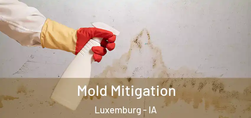  Mold Mitigation Luxemburg - IA