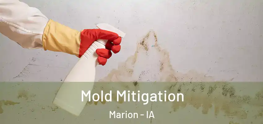 Mold Mitigation Marion - IA