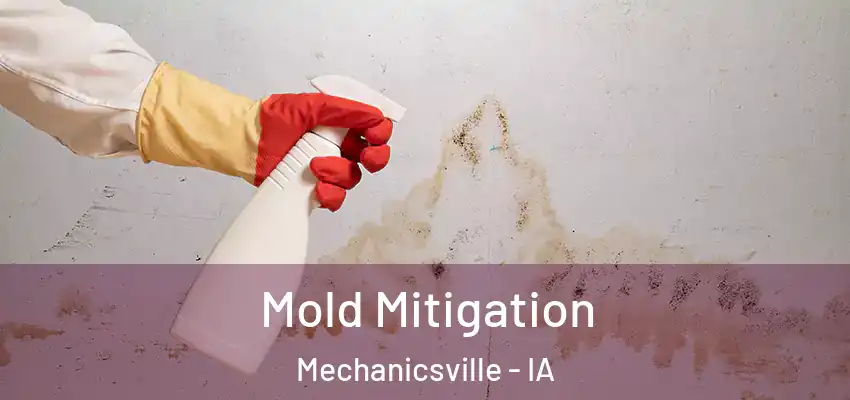  Mold Mitigation Mechanicsville - IA