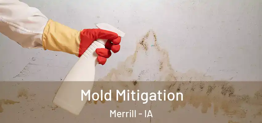 Mold Mitigation Merrill - IA