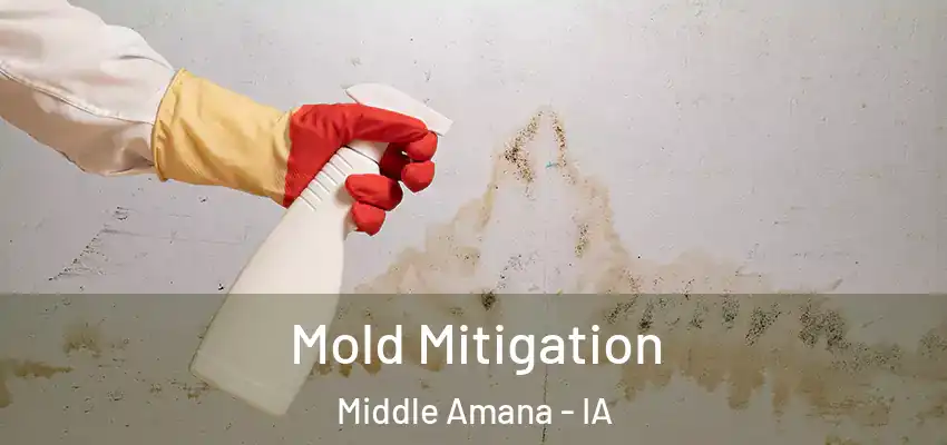 Mold Mitigation Middle Amana - IA
