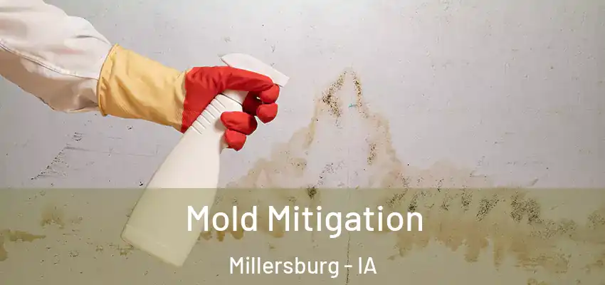Mold Mitigation Millersburg - IA