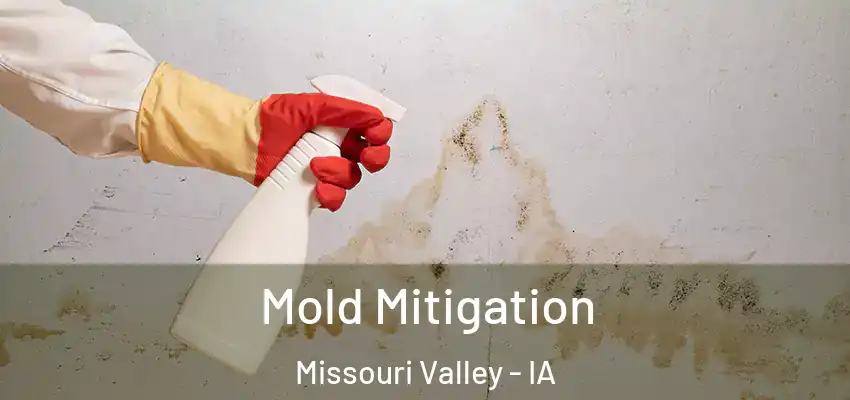  Mold Mitigation Missouri Valley - IA