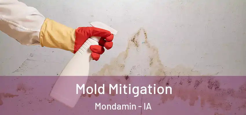  Mold Mitigation Mondamin - IA