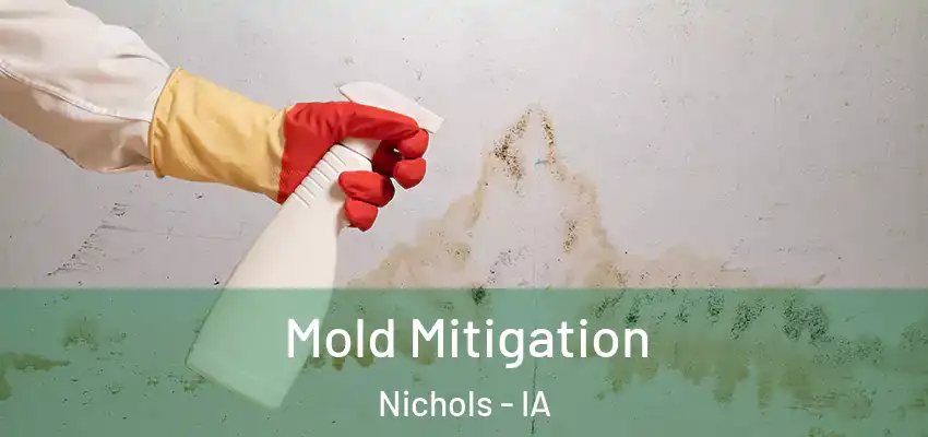  Mold Mitigation Nichols - IA