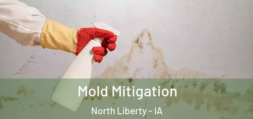  Mold Mitigation North Liberty - IA