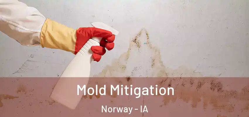  Mold Mitigation Norway - IA