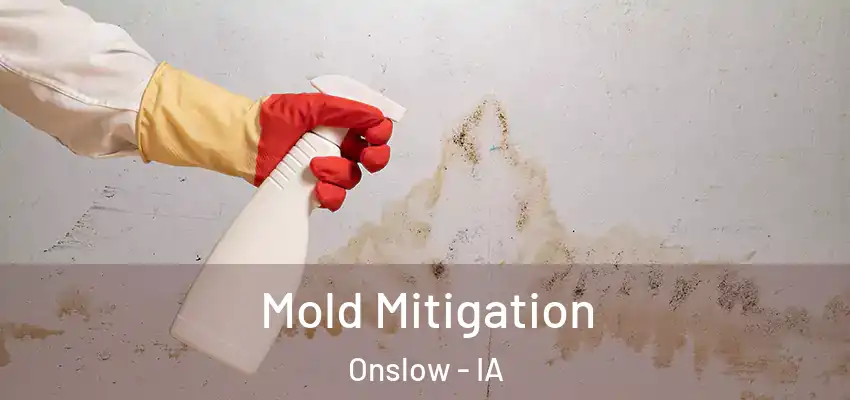  Mold Mitigation Onslow - IA