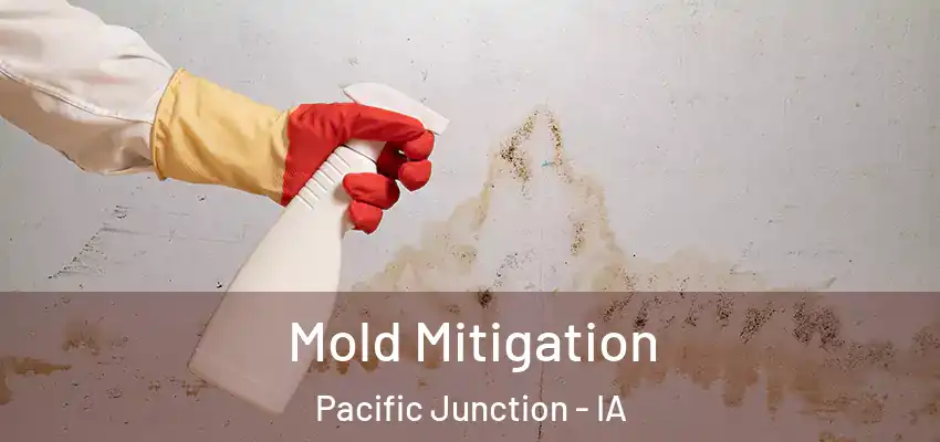Mold Mitigation Pacific Junction - IA