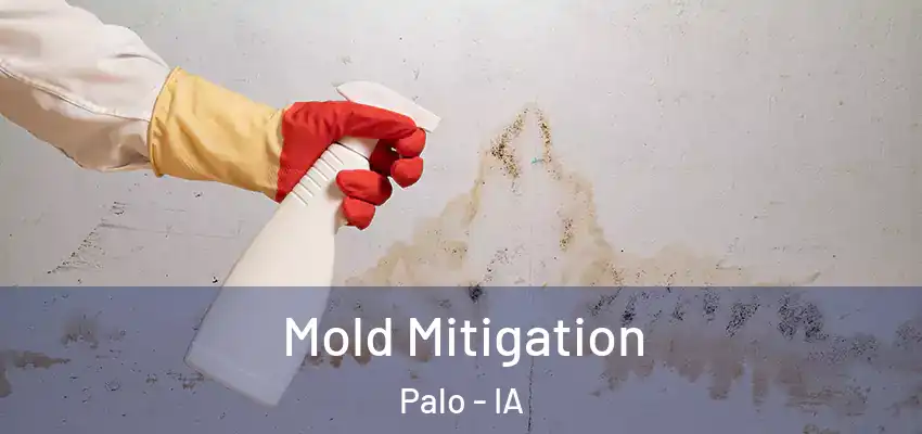  Mold Mitigation Palo - IA