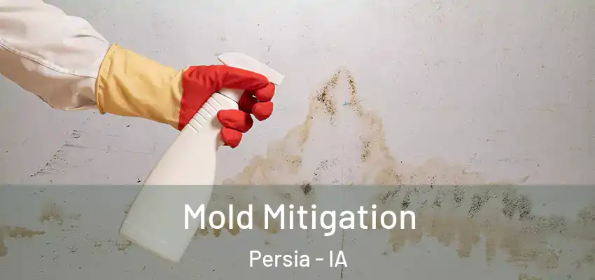  Mold Mitigation Persia - IA