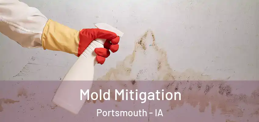 Mold Mitigation Portsmouth - IA