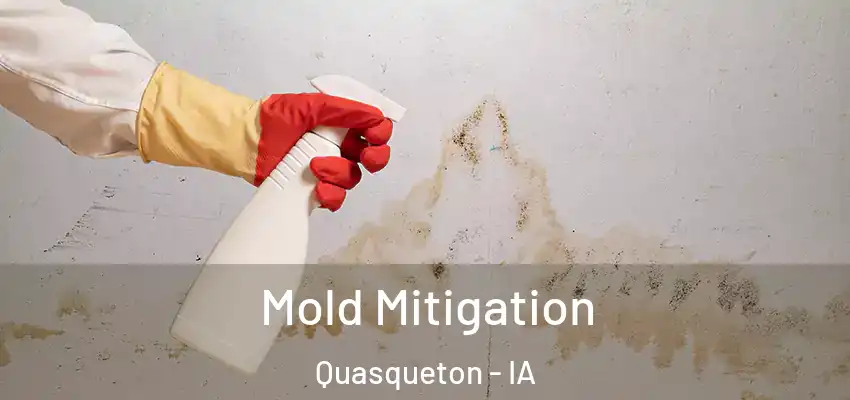  Mold Mitigation Quasqueton - IA