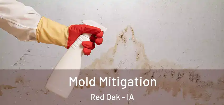 Mold Mitigation Red Oak - IA