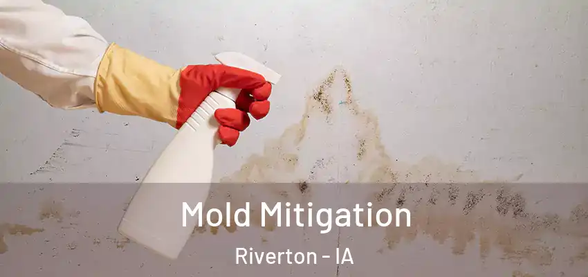 Mold Mitigation Riverton - IA