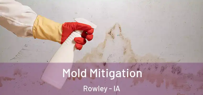 Mold Mitigation Rowley - IA