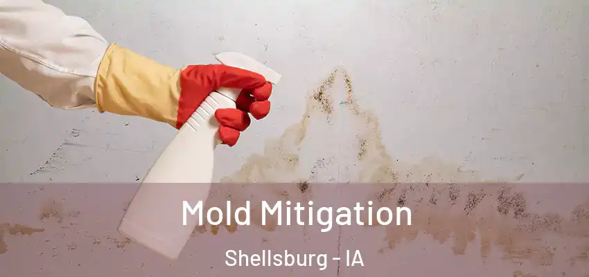 Mold Mitigation Shellsburg - IA