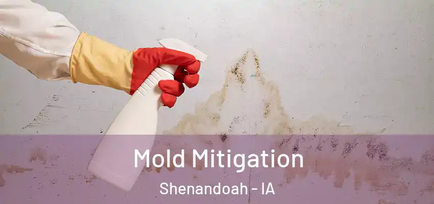  Mold Mitigation Shenandoah - IA