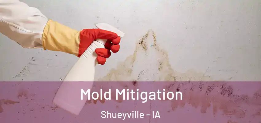  Mold Mitigation Shueyville - IA