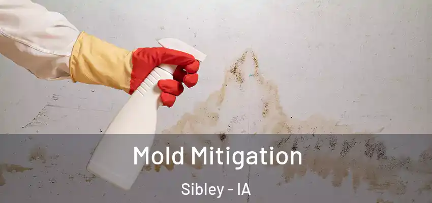  Mold Mitigation Sibley - IA