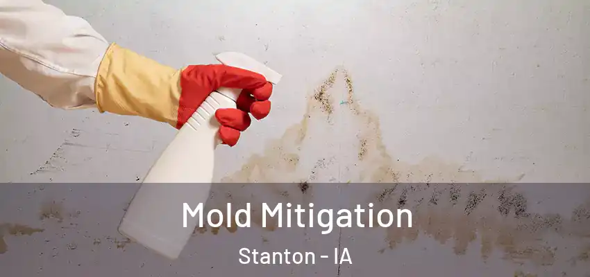 Mold Mitigation Stanton - IA