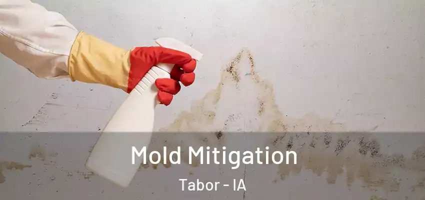 Mold Mitigation Tabor - IA