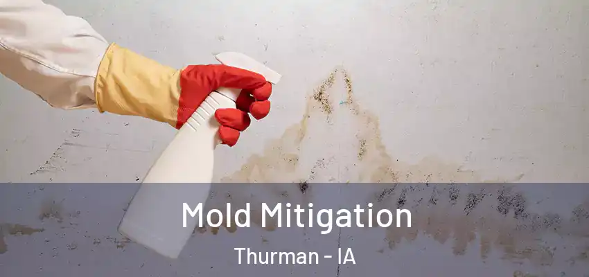 Mold Mitigation Thurman - IA