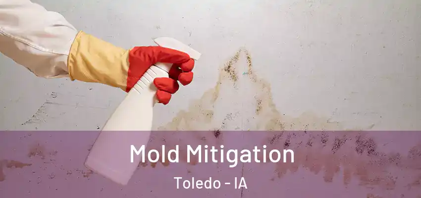  Mold Mitigation Toledo - IA