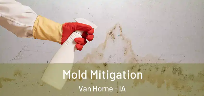  Mold Mitigation Van Horne - IA