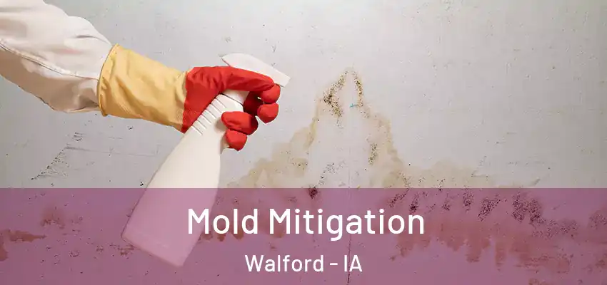 Mold Mitigation Walford - IA