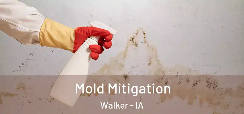 Mold Mitigation Walker - IA