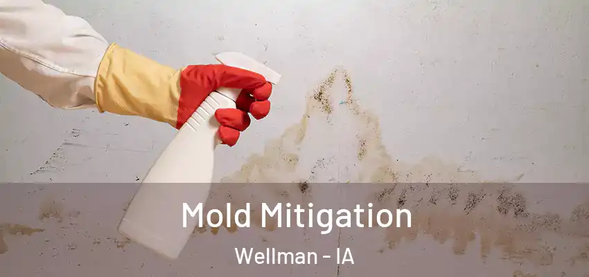 Mold Mitigation Wellman - IA