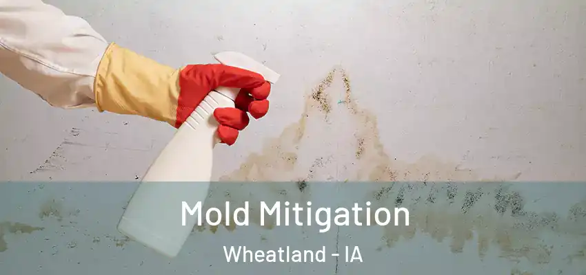  Mold Mitigation Wheatland - IA