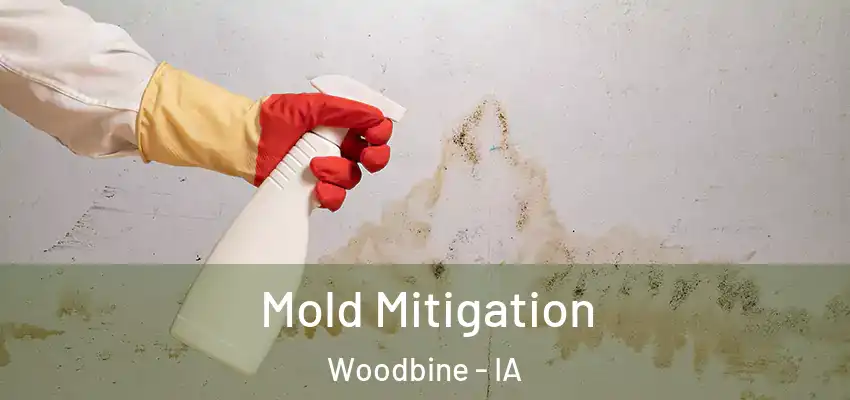  Mold Mitigation Woodbine - IA